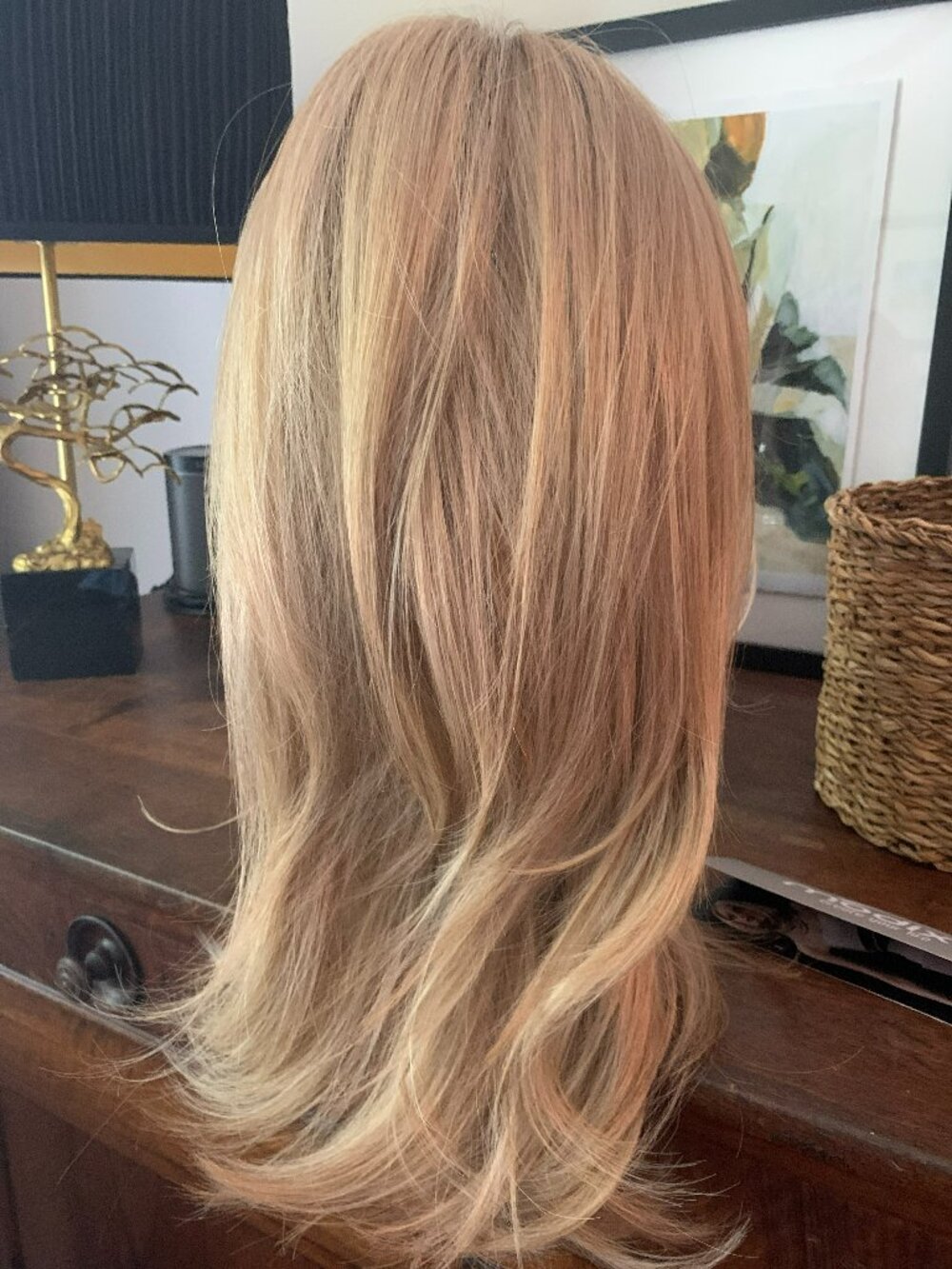 Ellen Wille - Alasia - (BNWT) Heat Friendly Synthetic Wig – Bahama Beige/16.22.2